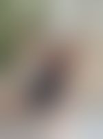Miniaturka 5 — Lexi_camp