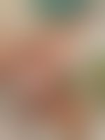 Miniaturka 5 — Lexi_camp