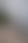 Miniaturka 2 — nomaggy