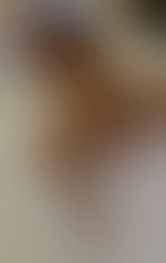 Miniaturka 2 — Cayenne