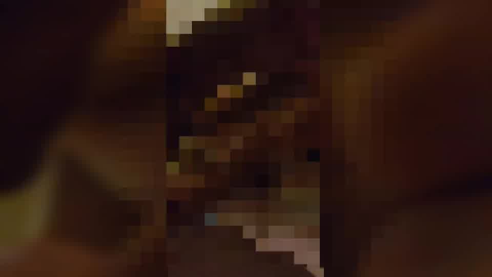 Blurred background