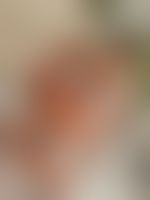 Miniaturka 2 — Lexi_camp