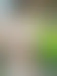 Miniaturka 2 — Morelka