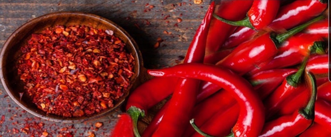 Cayenne — Hot Deal