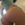 ostra_Julcia