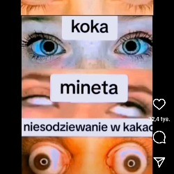 Kompadre