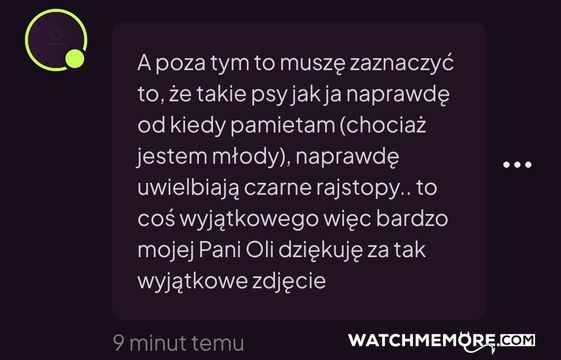 Zdjęcie z posta MrsKittin: Jeden z piesków już docenił to że mu wysyłam takie zdjęcia. Właśnie zamawiam nowe rajstopy, a jeżeli Ty także chcesz być podnóżkiem Pani,… (1/2)